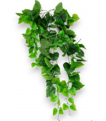 013 Veštaćke lozice   